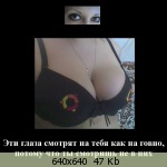�������� ����� - 82